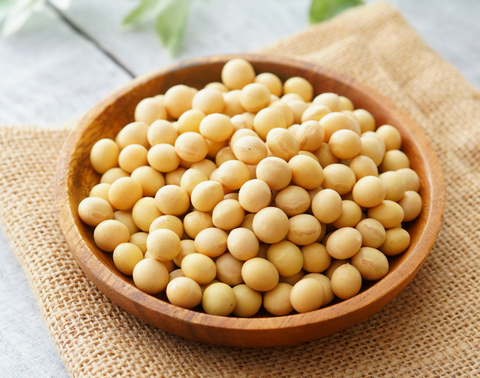 vitamin k2 mk-7 from natto