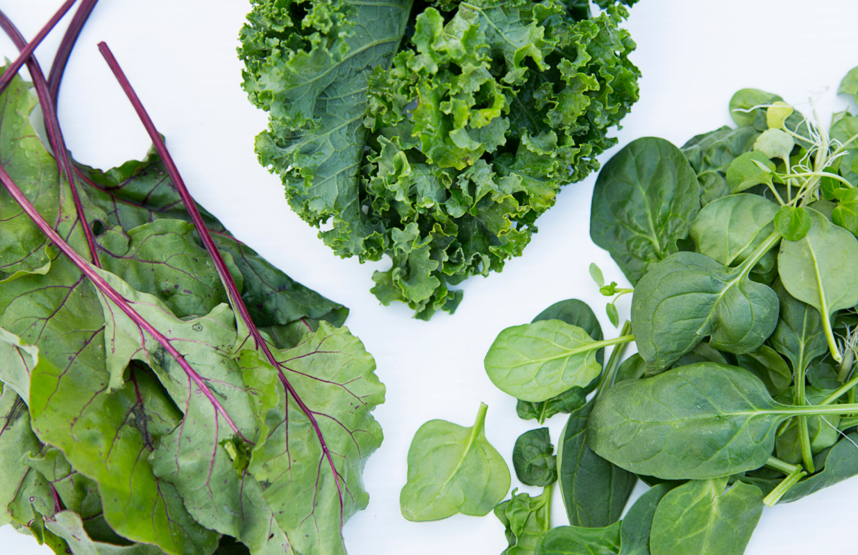Spinach vs. Kale