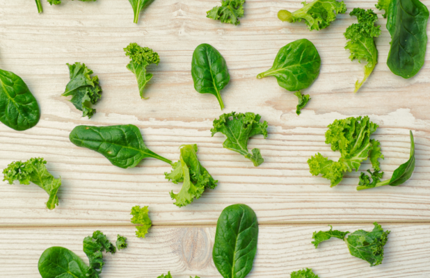 Spinach vs. Kale
